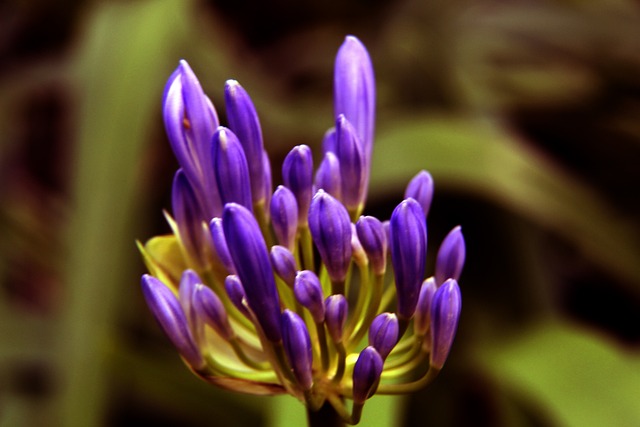 特朗普获“国际足联和平奖”，笑得合不拢嘴，称：“这无疑是我人生中至高的荣誉之一”